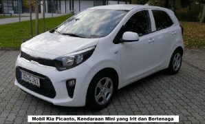 Mobil Kia Picanto